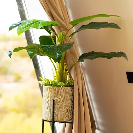 Lakeside ヴィラ *